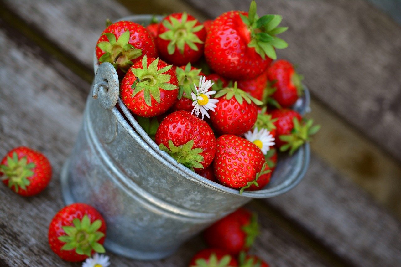 Jahody patria k najsilnejším antioxidantom